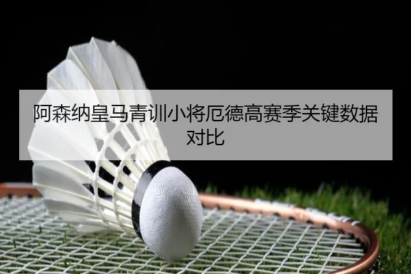 阿森纳皇马青训小将厄德高赛季关键数据对比